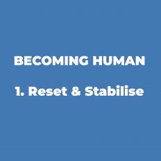 1. Reset & Stabilise