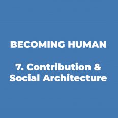 7. Contribution & Social Architecture