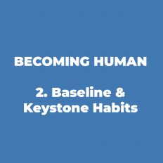 2. Baseline & Keystone Habits