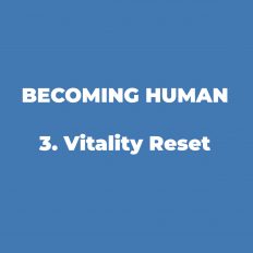 3. Vitality Reset